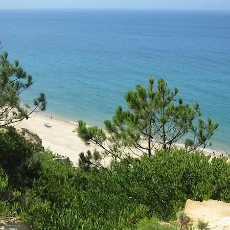 Charming Pied-à-terre In Rossio *